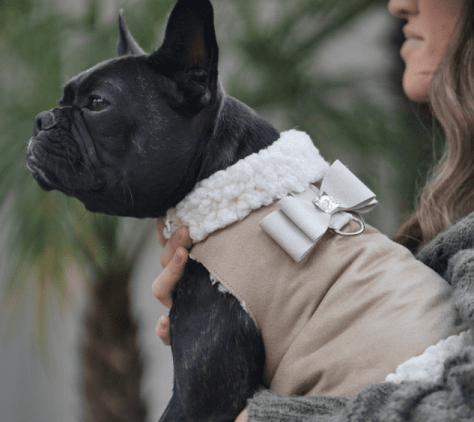 Manteau Susan Lanci Big Bow Beige