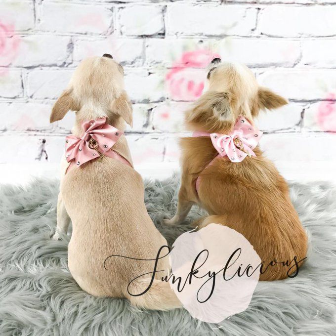 Harnais Funkylicious Swarovski Rose avec laisse