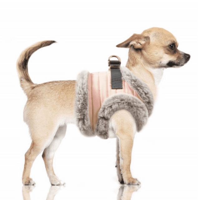 Harnais Milk and Pepper Zora