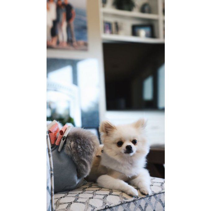 Manteau Susan Lanci Big Bow Beige