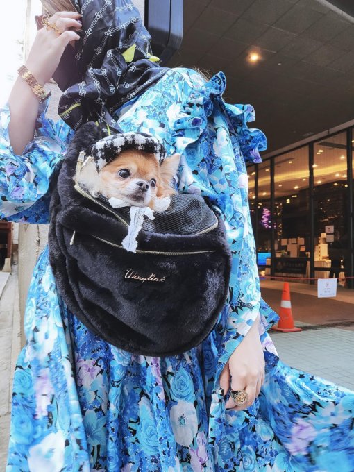 Sac de transport Hug Me Wooflink 